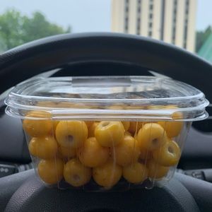 Meet your Posher, Dania